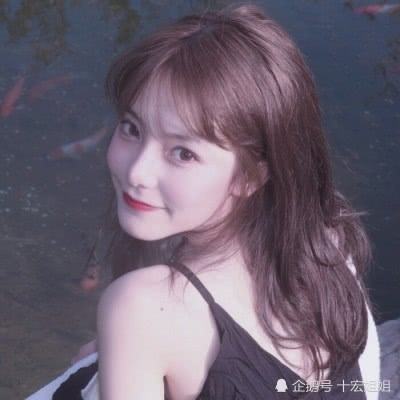 龙珠乱斗满vbt版下载